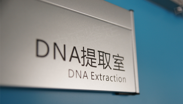河北省想做隐私亲子鉴定如何做,河北省想做个人亲子鉴定具体流程 河北省想做隐私亲子鉴定如何做,河北省想做个人亲子鉴定具体流程