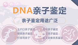 河北隐私亲子鉴定大概多少钱（快速预约办理）
