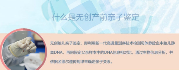 怀孕期间如何鉴定孩子父亲是谁[河北],怀孕亲子鉴定结果会不会有问题