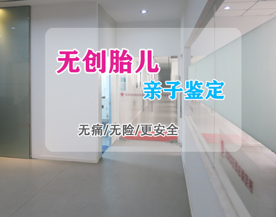 河北孕期亲子鉴定多少钱的费用,