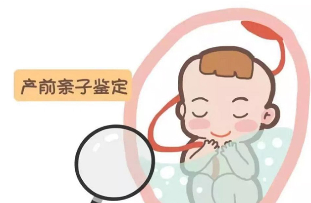 河北怀孕亲子鉴定中心去哪查找,河北产前亲子鉴定预约办理