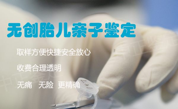 河北怀孕亲子鉴定需要什么材料和流程,河北权威产前亲子鉴定机构地址在哪里