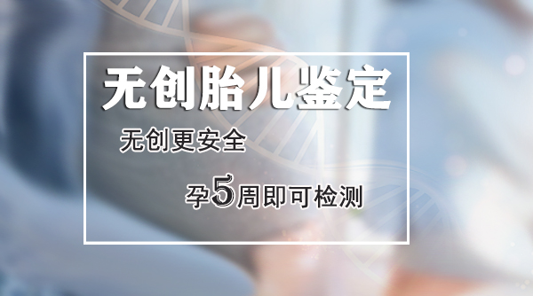 河北省怀孕需要怎么做DNA亲子鉴定,河北省办理孕期亲子鉴定办理流程