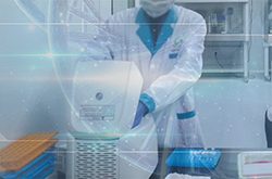 河北隐私亲子鉴定机构在哪里，河北匿名亲子鉴定哪里做的准