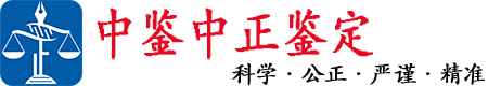 中鉴网